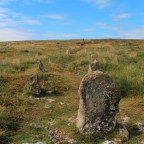 A Journey Through the Heart of Dartmoor